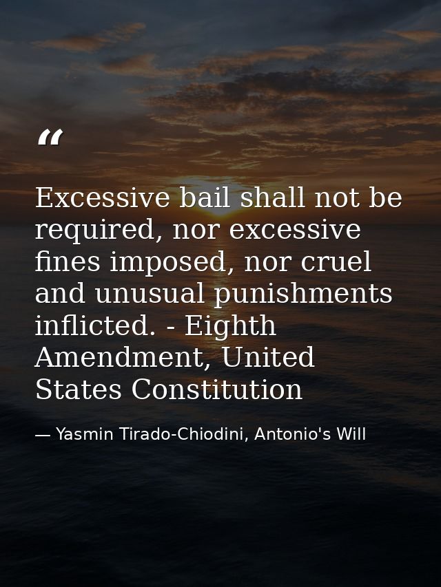 Excessive bail shall not be required, nor excessive fines imposed, nor cruel and unusual punishments inflicted. - Eighth — Yasmin Tirado-Chiodini, Antonio's Will