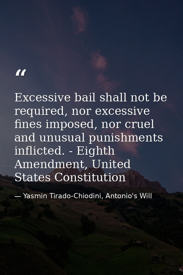 Excessive bail shall not be required, nor excessive fines imposed, nor cruel and unusual punishments inflicted. - Eighth — Yasmin Tirado-Chiodini, Antonio's Will