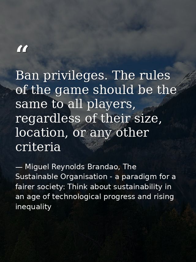 Ban privileges. The rules of the game should be the same to all players, regardless of their size, location, or any othe — Miguel Reynolds Brandao, The Sustainable Organisation - a paradigm for a fairer society: Think about sustainability in an age of technological progress and rising inequality