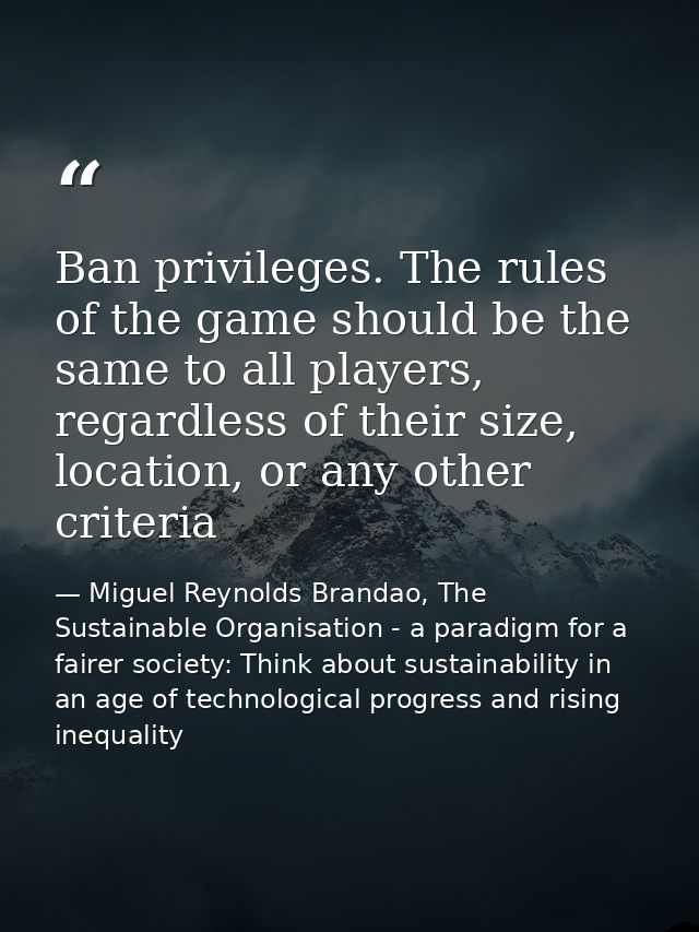 Ban privileges. The rules of the game should be the same to all players, regardless of their size, location, or any othe — Miguel Reynolds Brandao, The Sustainable Organisation - a paradigm for a fairer society: Think about sustainability in an age of technological progress and rising inequality
