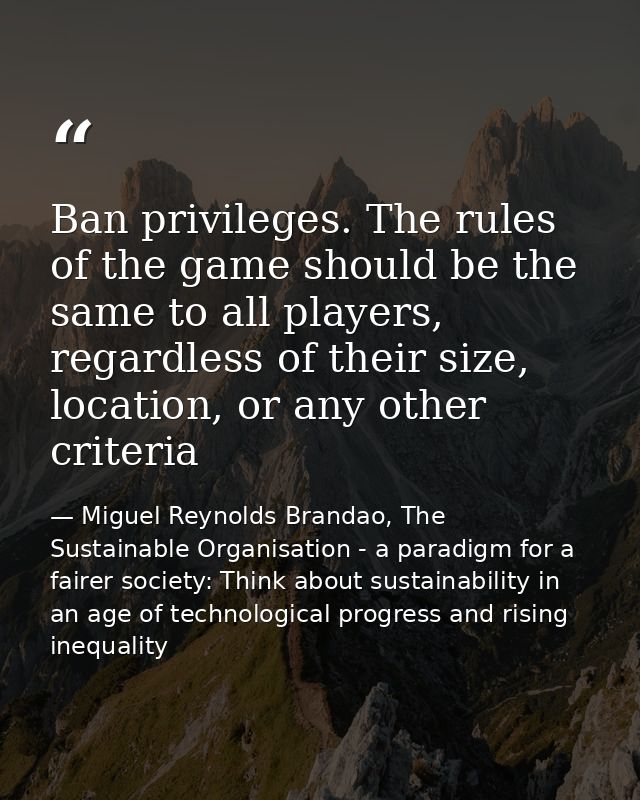 Ban privileges. The rules of the game should be the same to all players, regardless of their size, location, or any othe — Miguel Reynolds Brandao, The Sustainable Organisation - a paradigm for a fairer society: Think about sustainability in an age of technological progress and rising inequality