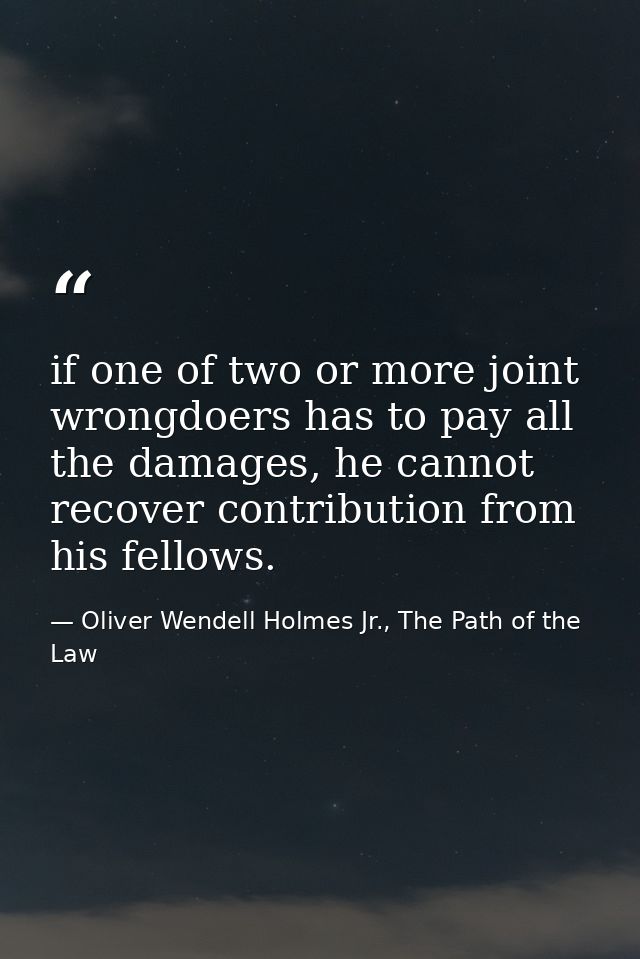if one of two or more joint wrongdoers has to pay all the damages, he cannot recover contribution from his fellows. — Oliver Wendell Holmes Jr., The Path of the Law