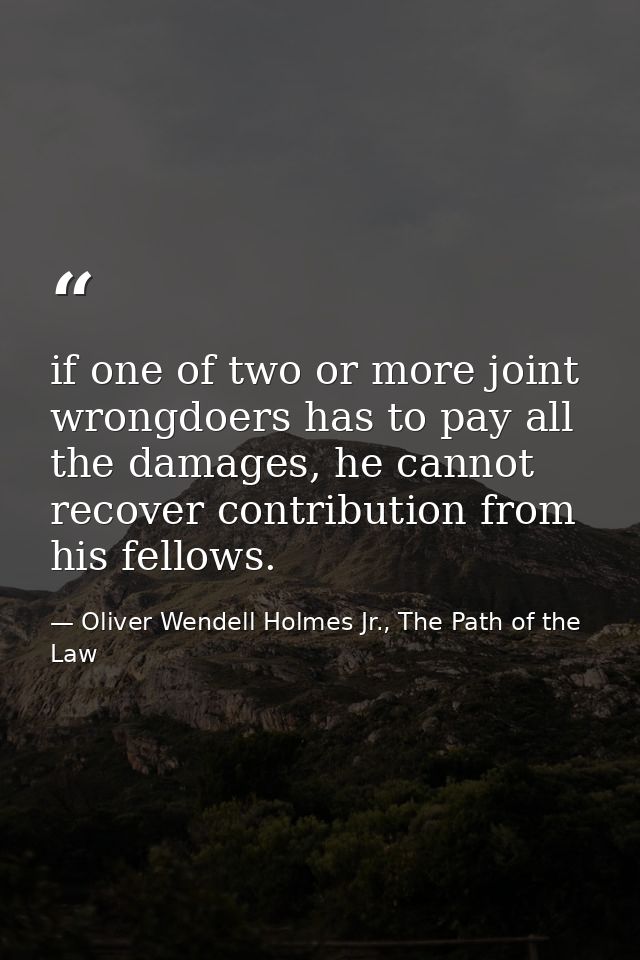 if one of two or more joint wrongdoers has to pay all the damages, he cannot recover contribution from his fellows. — Oliver Wendell Holmes Jr., The Path of the Law