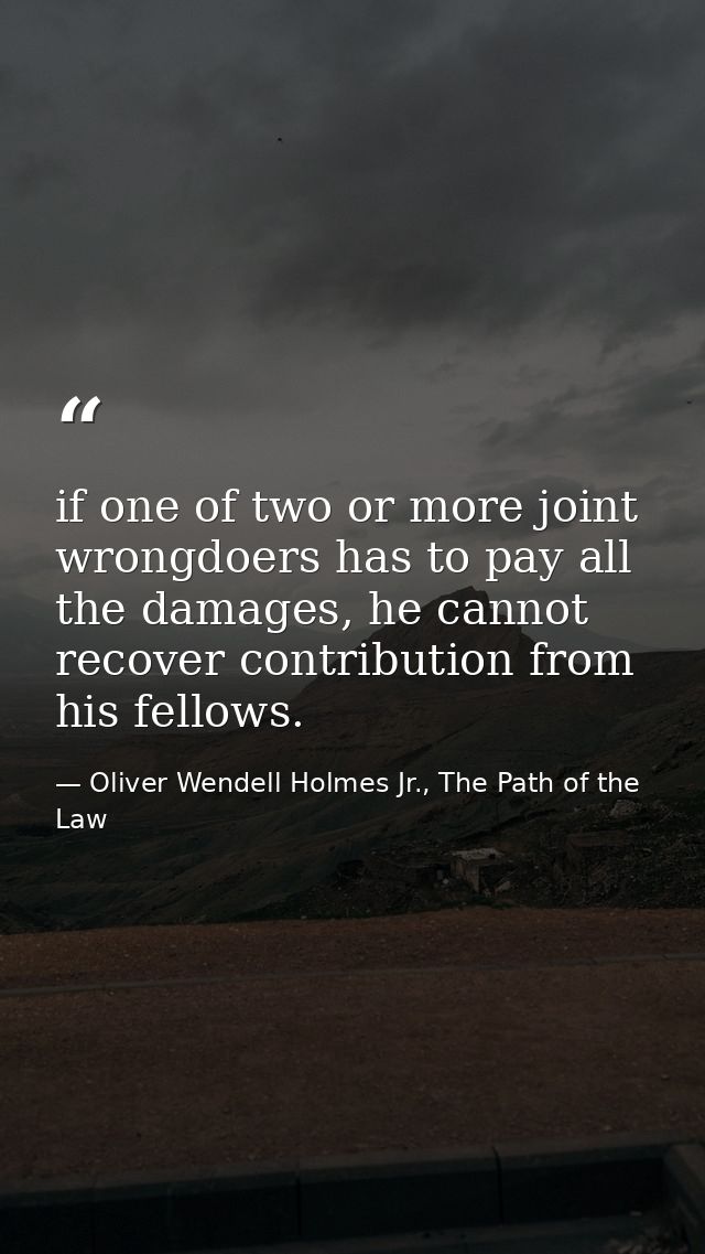 if one of two or more joint wrongdoers has to pay all the damages, he cannot recover contribution from his fellows. — Oliver Wendell Holmes Jr., The Path of the Law