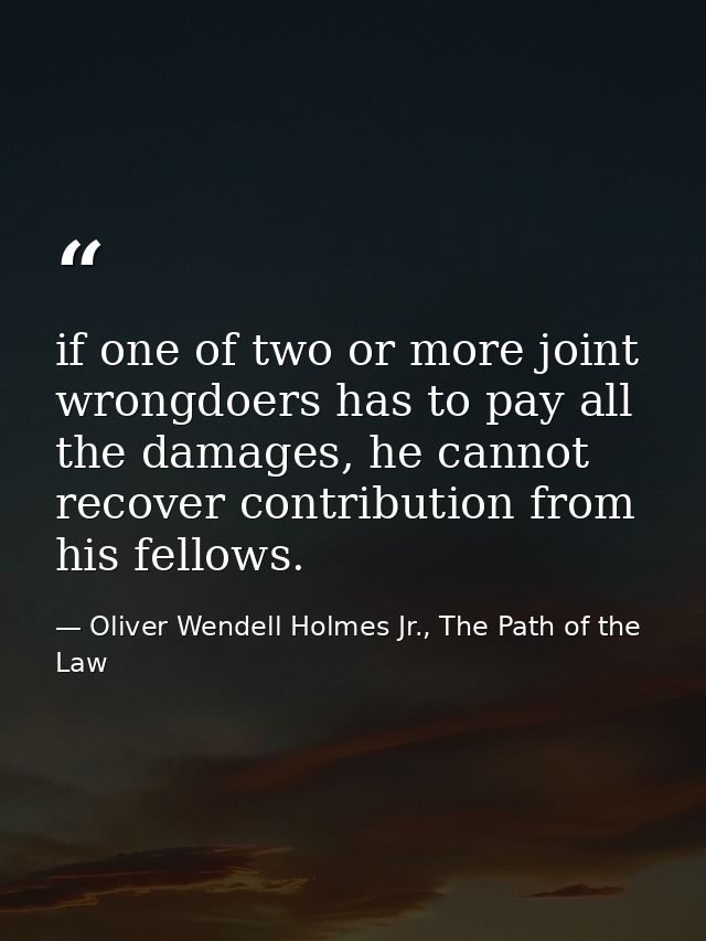 if one of two or more joint wrongdoers has to pay all the damages, he cannot recover contribution from his fellows. — Oliver Wendell Holmes Jr., The Path of the Law