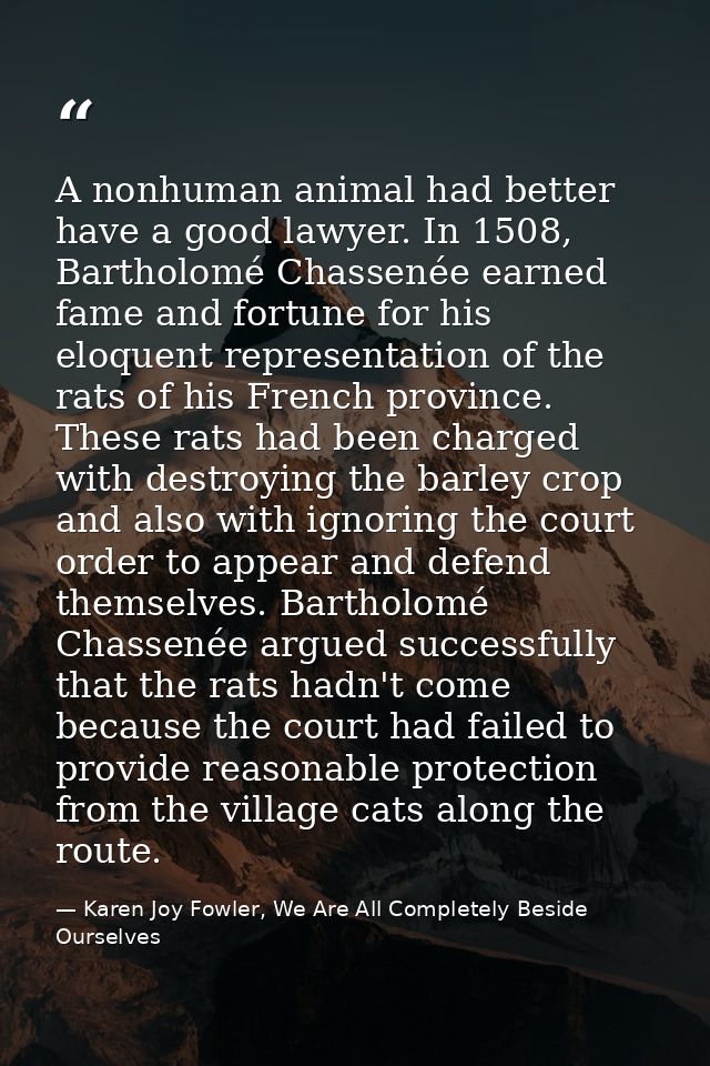 A nonhuman animal had better have a good lawyer. In 1508, Bartholomé Chassenée earned fame and fortune for his eloquent  — Karen Joy Fowler, We Are All Completely Beside Ourselves