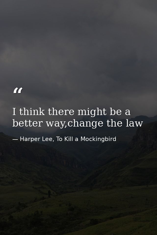 I think there might be a better way,change the law — Harper Lee, To Kill a Mockingbird