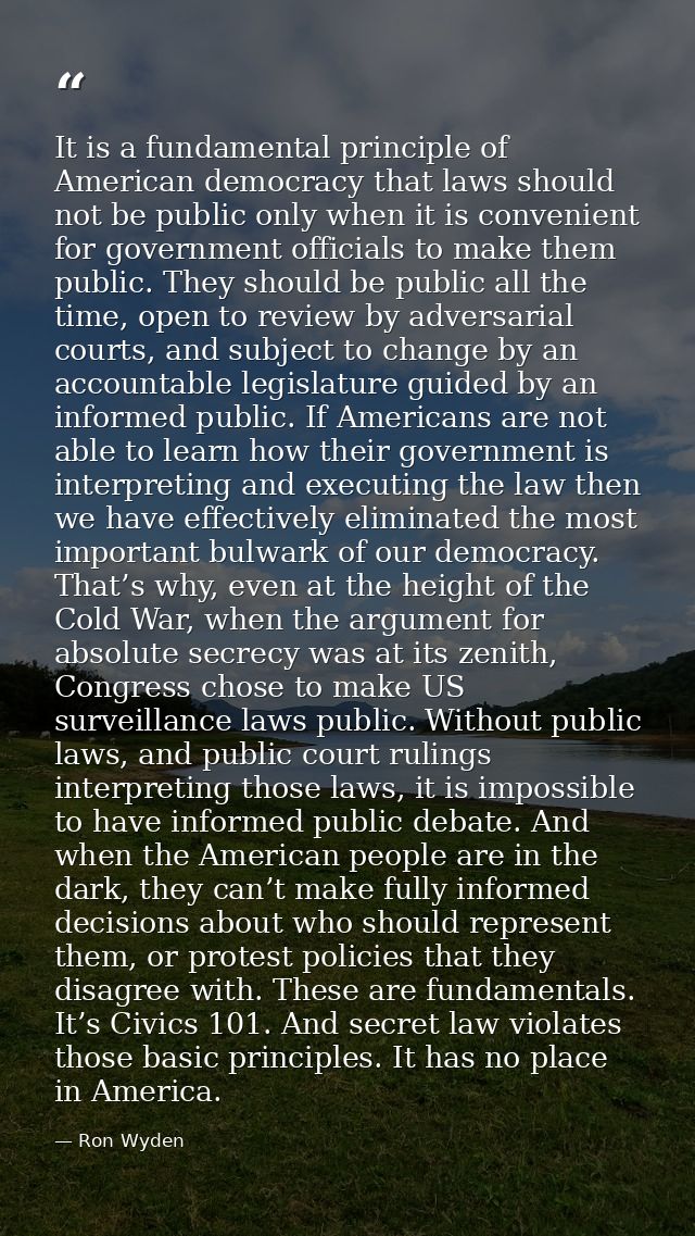 It is a fundamental principle of American democracy that laws should not be public only when it is convenient for govern — Ron Wyden