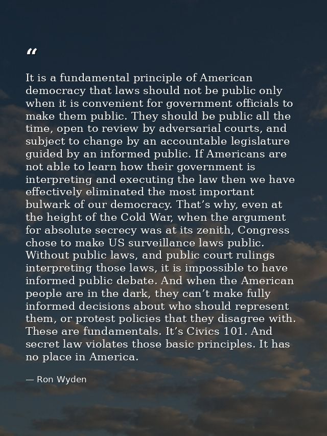It is a fundamental principle of American democracy that laws should not be public only when it is convenient for govern — Ron Wyden