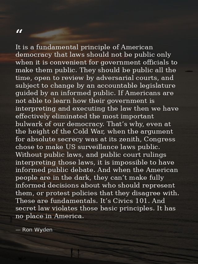 It is a fundamental principle of American democracy that laws should not be public only when it is convenient for govern — Ron Wyden