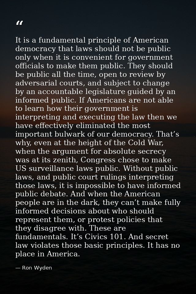 It is a fundamental principle of American democracy that laws should not be public only when it is convenient for govern — Ron Wyden