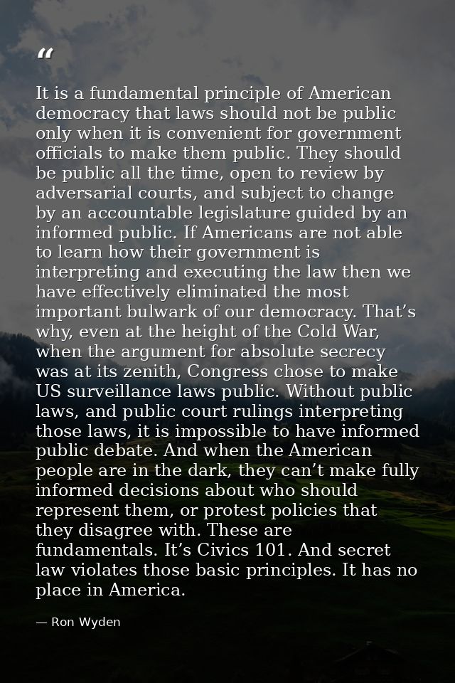 It is a fundamental principle of American democracy that laws should not be public only when it is convenient for govern — Ron Wyden