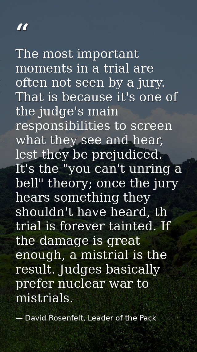 The most important moments in a trial are often not seen by a jury. That is because it's one of the judge's main respons — David Rosenfelt, Leader of the Pack