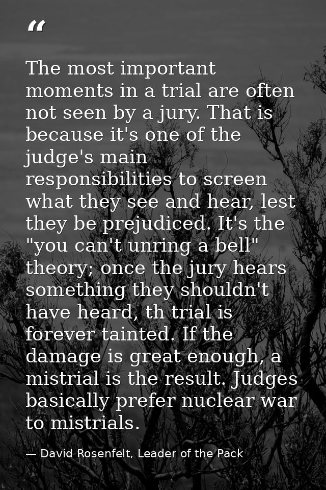 The most important moments in a trial are often not seen by a jury. That is because it's one of the judge's main respons — David Rosenfelt, Leader of the Pack
