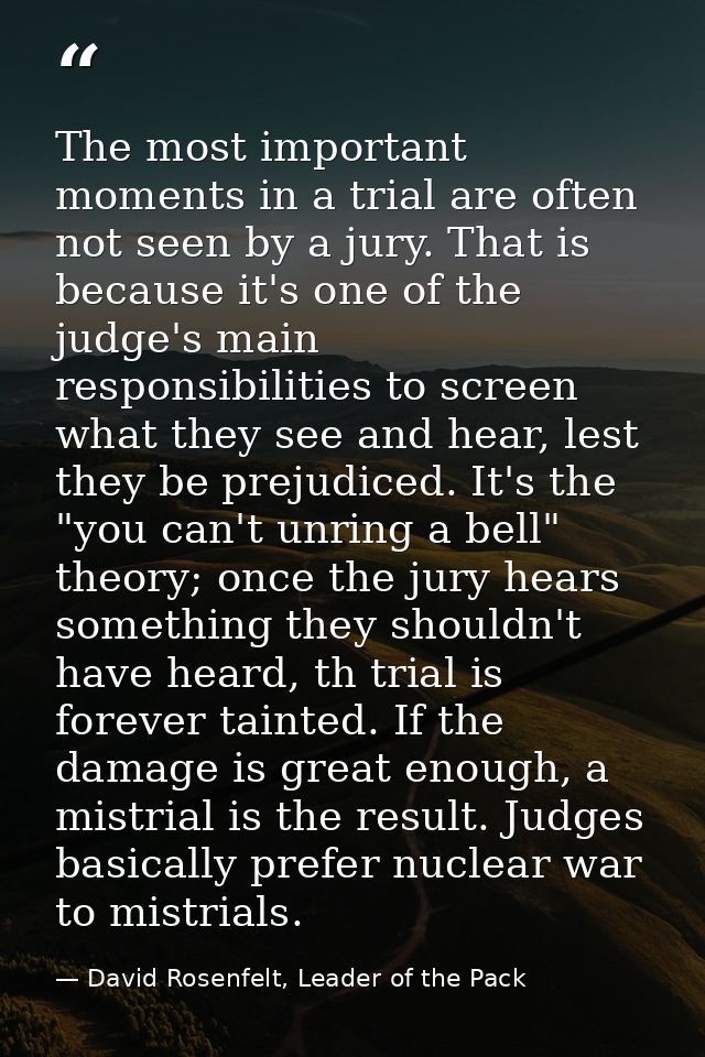 The most important moments in a trial are often not seen by a jury. That is because it's one of the judge's main respons — David Rosenfelt, Leader of the Pack