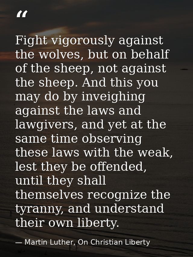 Fight vigorously against the wolves, but on behalf of the sheep, not against the sheep. And this you may do by inveighin — Martin Luther, On Christian Liberty