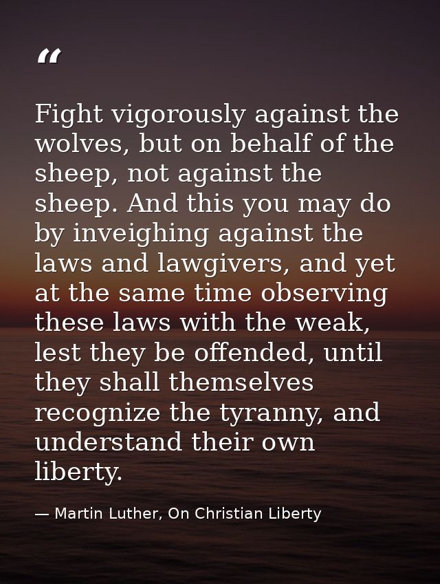 Fight vigorously against the wolves, but on behalf of the sheep, not against the sheep. And this you may do by inveighin — Martin Luther, On Christian Liberty