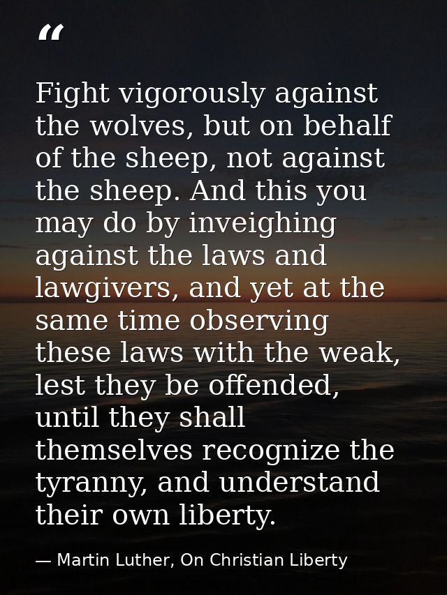 Fight vigorously against the wolves, but on behalf of the sheep, not against the sheep. And this you may do by inveighin — Martin Luther, On Christian Liberty