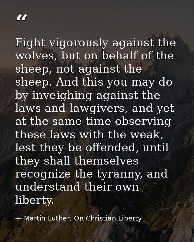 Fight vigorously against the wolves, but on behalf of the sheep, not against the sheep. And this you may do by inveighin — Martin Luther, On Christian Liberty
