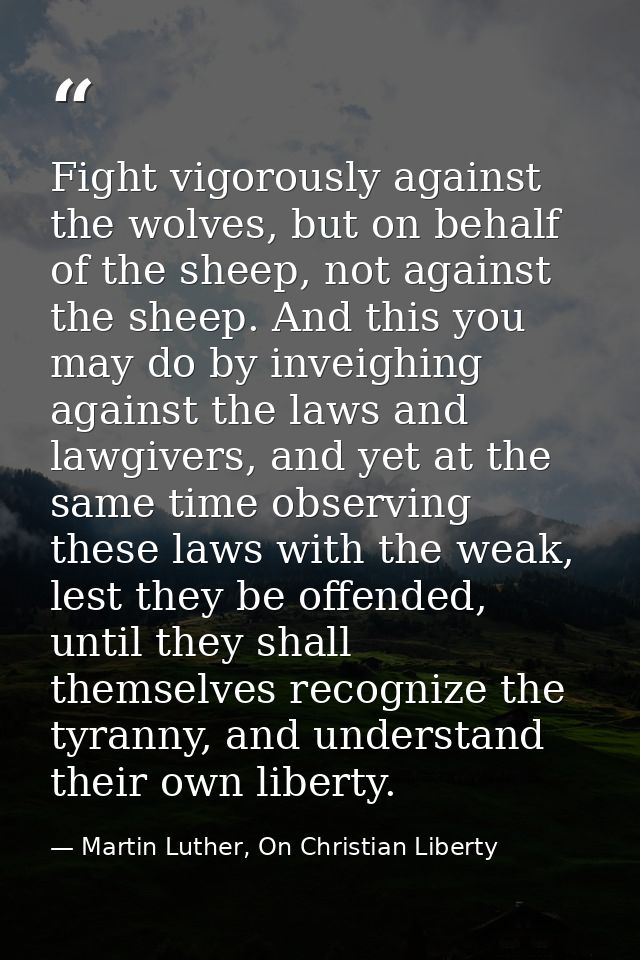 Fight vigorously against the wolves, but on behalf of the sheep, not against the sheep. And this you may do by inveighin — Martin Luther, On Christian Liberty