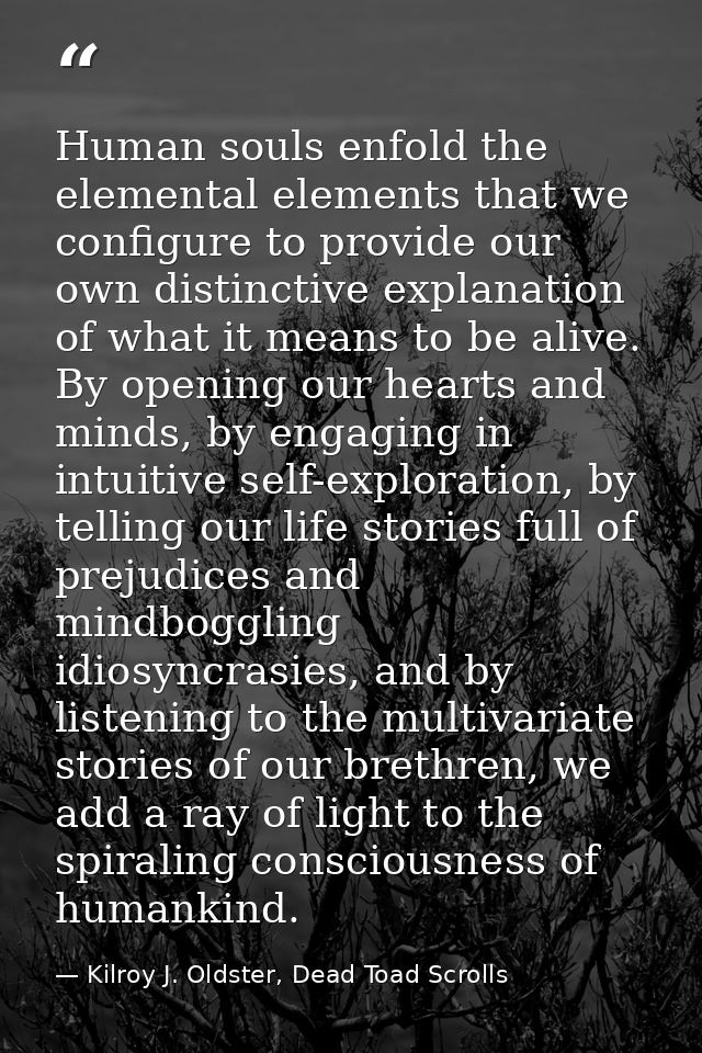 Human souls enfold the elemental elements that we configure to provide our own distinctive explanation of what it means  — Kilroy J. Oldster, Dead Toad Scrolls