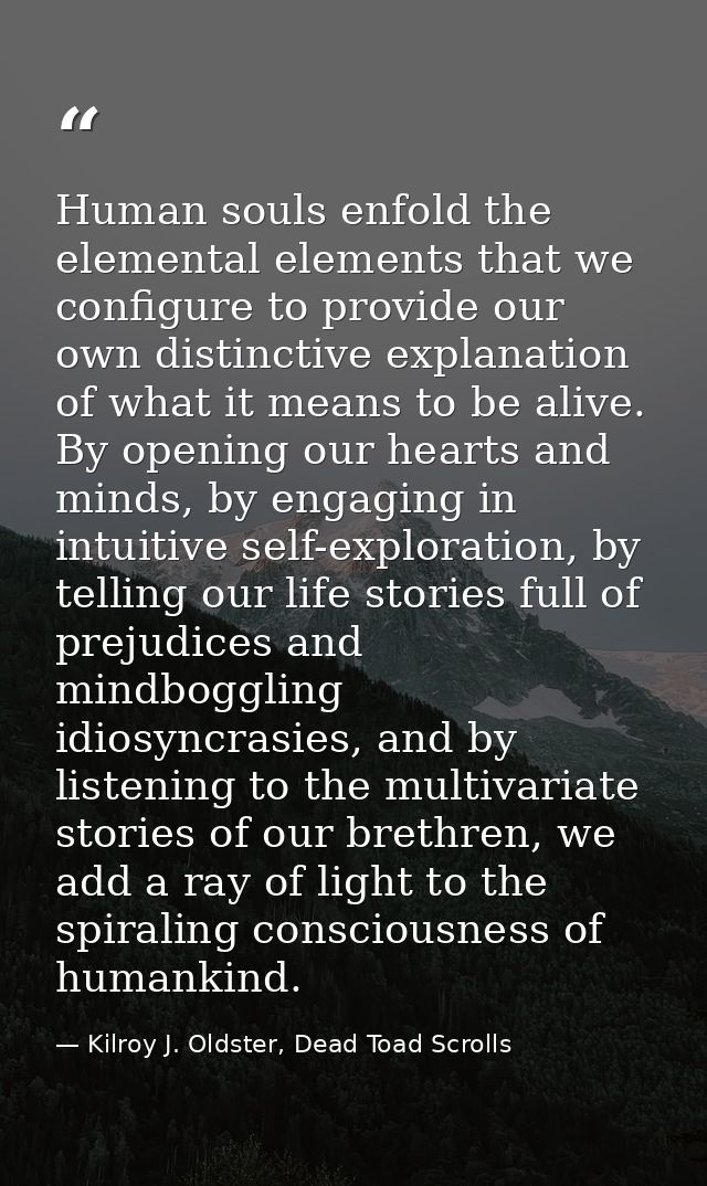 Human souls enfold the elemental elements that we configure to provide our own distinctive explanation of what it means  — Kilroy J. Oldster, Dead Toad Scrolls