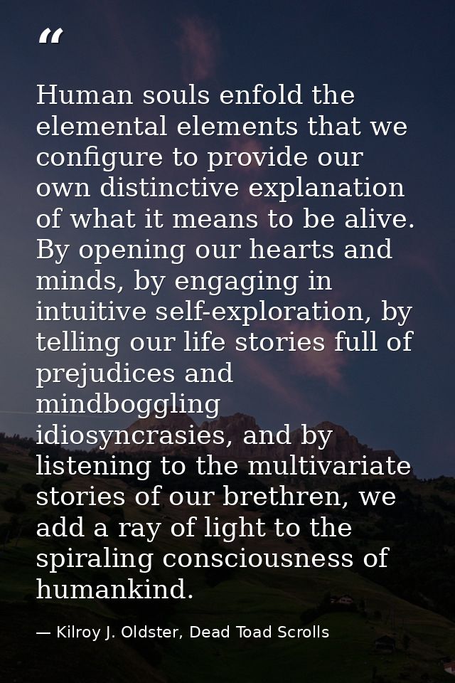 Human souls enfold the elemental elements that we configure to provide our own distinctive explanation of what it means  — Kilroy J. Oldster, Dead Toad Scrolls