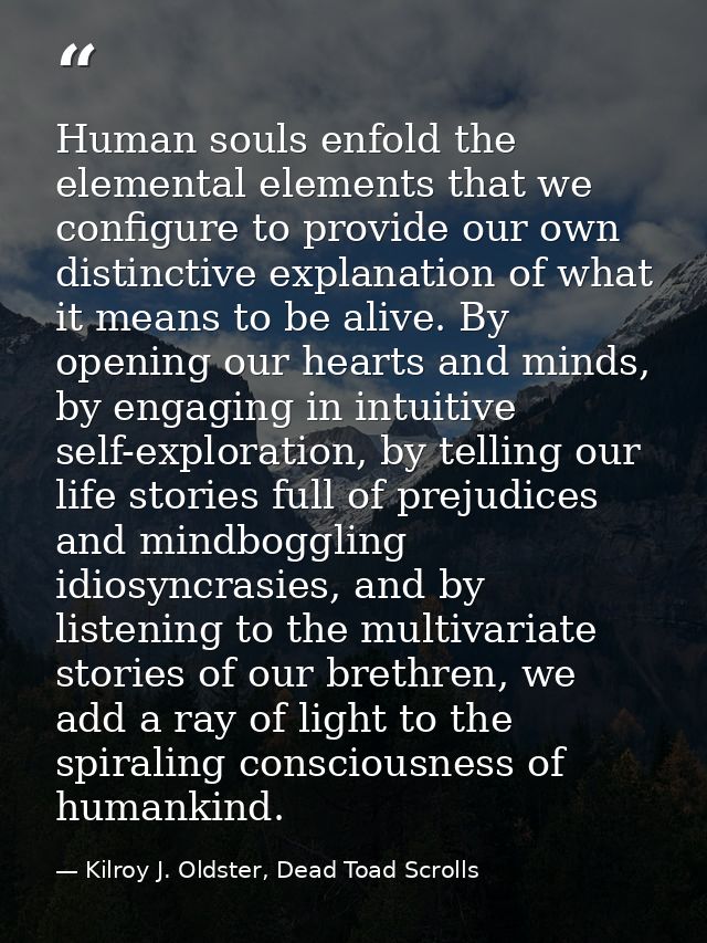 Human souls enfold the elemental elements that we configure to provide our own distinctive explanation of what it means  — Kilroy J. Oldster, Dead Toad Scrolls