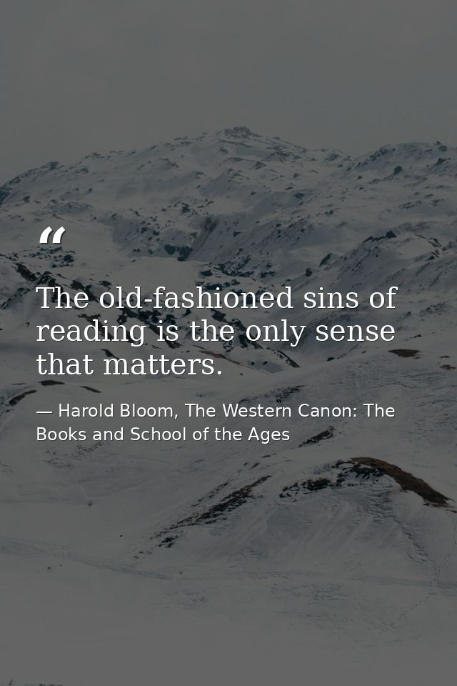 The old-fashioned sins of reading is the only sense that matters. — Harold Bloom, The Western Canon: The Books and School of the Ages