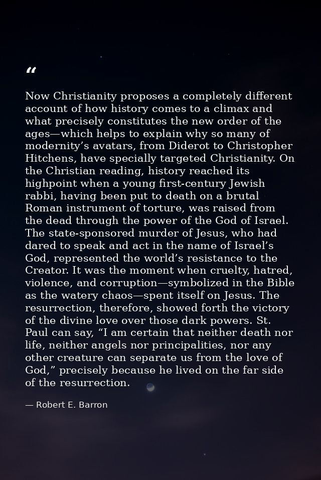 Now Christianity proposes a completely different account of how history comes to a climax and what precisely constitutes — Robert E. Barron