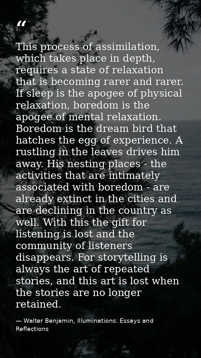 This process of assimilation, which takes place in depth, requires a state of relaxation that is becoming rarer and rare — Walter Benjamin, Illuminations: Essays and Reflections