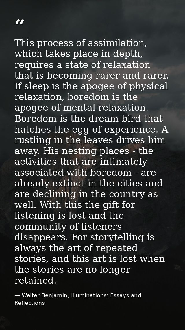 This process of assimilation, which takes place in depth, requires a state of relaxation that is becoming rarer and rare — Walter Benjamin, Illuminations: Essays and Reflections