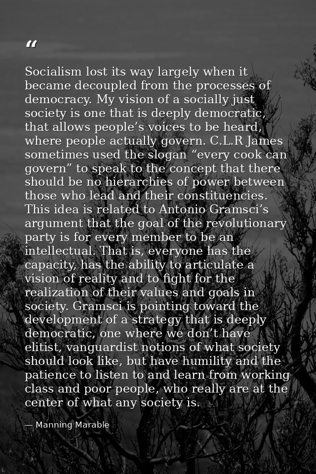 Socialism lost its way largely when it became decoupled from the processes of democracy. My vision of a socially just so — Manning Marable