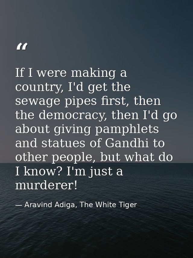 If I were making a country, I'd get the sewage pipes first, then the democracy, then I'd go about giving pamphlets and s — Aravind Adiga, The White Tiger