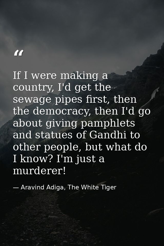 If I were making a country, I'd get the sewage pipes first, then the democracy, then I'd go about giving pamphlets and s — Aravind Adiga, The White Tiger