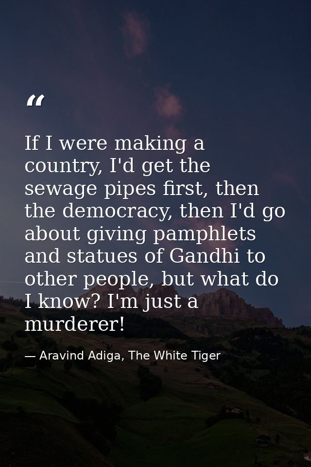 If I were making a country, I'd get the sewage pipes first, then the democracy, then I'd go about giving pamphlets and s — Aravind Adiga, The White Tiger