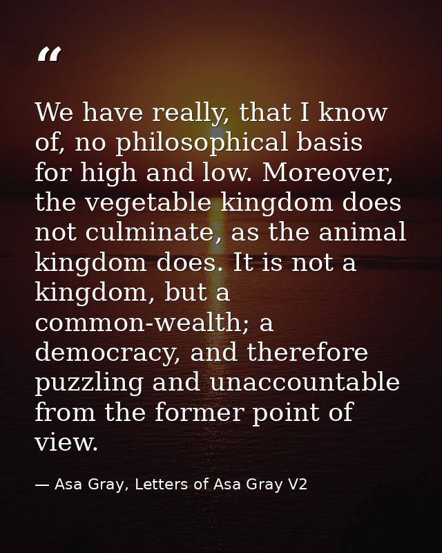 We have really, that I know of, no philosophical basis for high and low. Moreover, the vegetable kingdom does not culmin — Asa Gray, Letters of Asa Gray V2