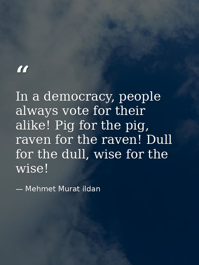 In a democracy, people always vote for their alike! Pig for the pig, raven for the raven! Dull for the dull, wise for th — Mehmet Murat ildan