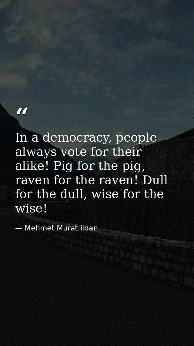 In a democracy, people always vote for their alike! Pig for the pig, raven for the raven! Dull for the dull, wise for th — Mehmet Murat ildan