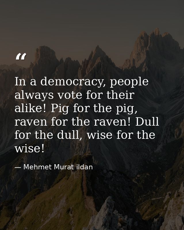 In a democracy, people always vote for their alike! Pig for the pig, raven for the raven! Dull for the dull, wise for th — Mehmet Murat ildan