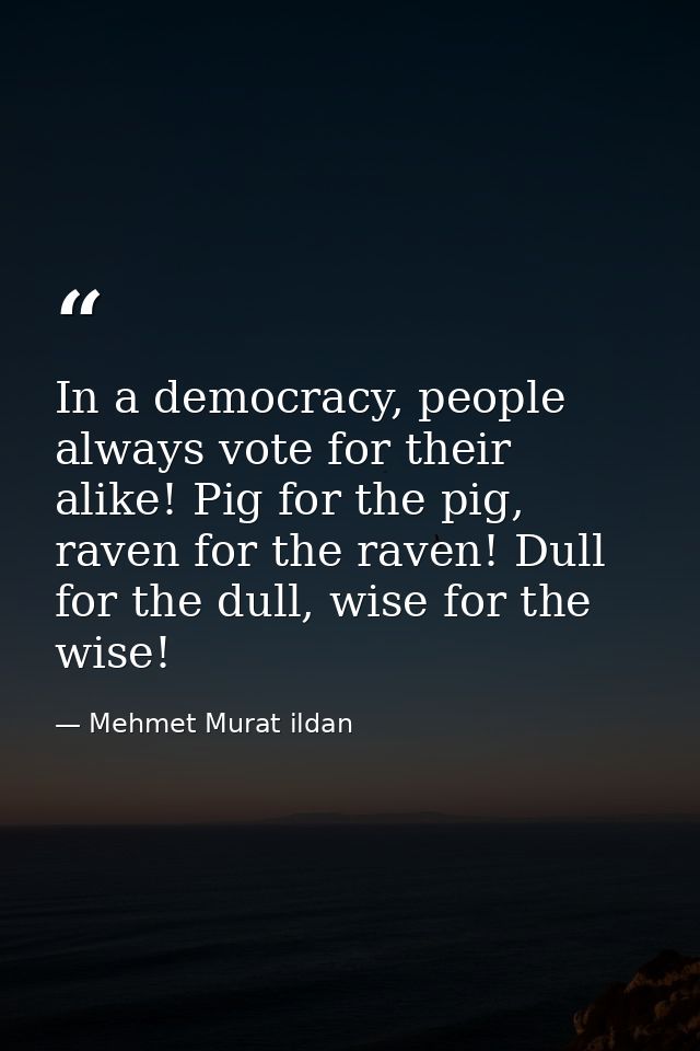 In a democracy, people always vote for their alike! Pig for the pig, raven for the raven! Dull for the dull, wise for th — Mehmet Murat ildan