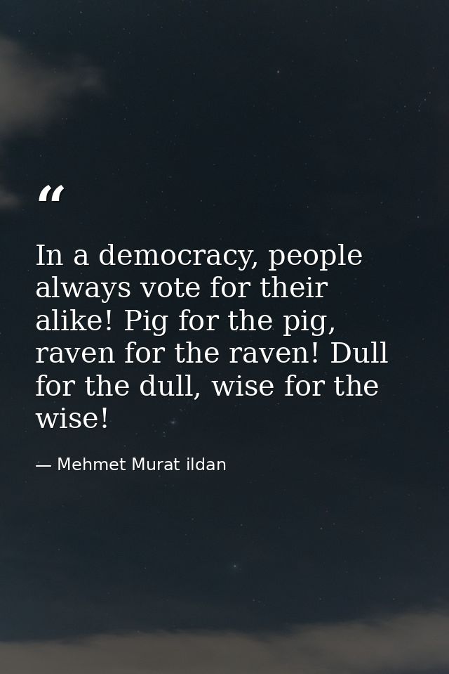 In a democracy, people always vote for their alike! Pig for the pig, raven for the raven! Dull for the dull, wise for th — Mehmet Murat ildan