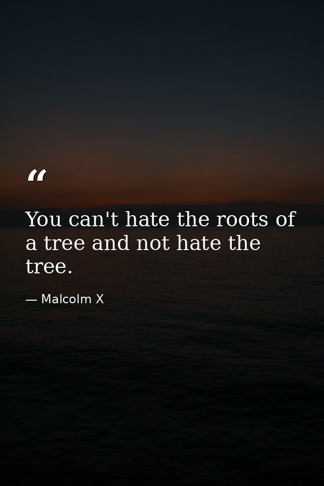 You can't hate the roots of a tree and not hate the tree. — Malcolm X