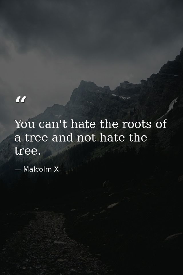 You can't hate the roots of a tree and not hate the tree. — Malcolm X