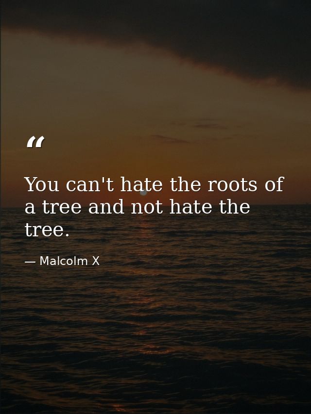 You can't hate the roots of a tree and not hate the tree. — Malcolm X