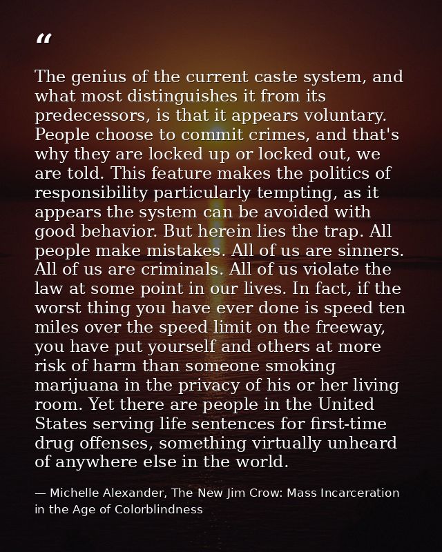 The genius of the current caste system, and what most distinguishes it from its predecessors, is that it appears volunta — Michelle Alexander, The New Jim Crow: Mass Incarceration in the Age of Colorblindness