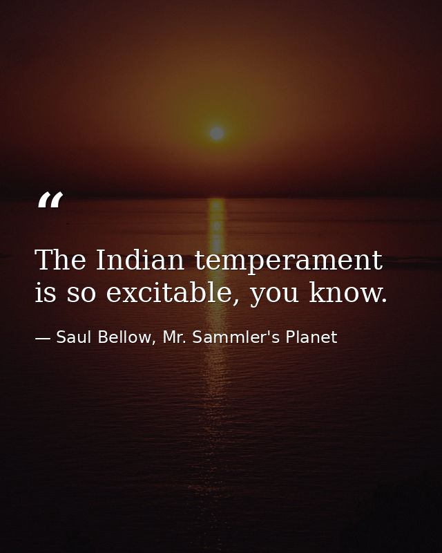 The Indian temperament is so excitable, you know. — Saul Bellow, Mr. Sammler's Planet