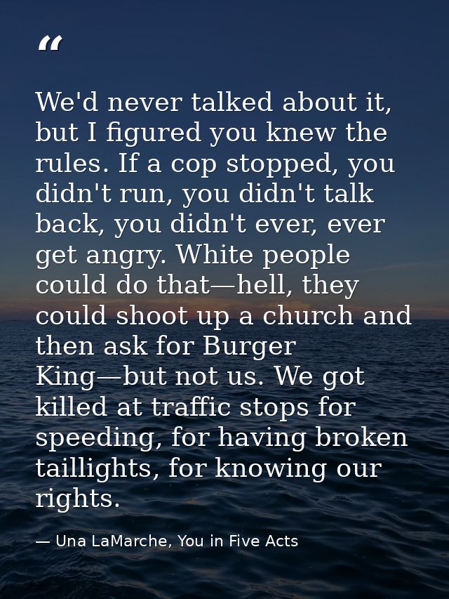 We'd never talked about it, but I figured you knew the rules. If a cop stopped, you didn't run, you didn't talk back, yo — Una LaMarche, You in Five Acts