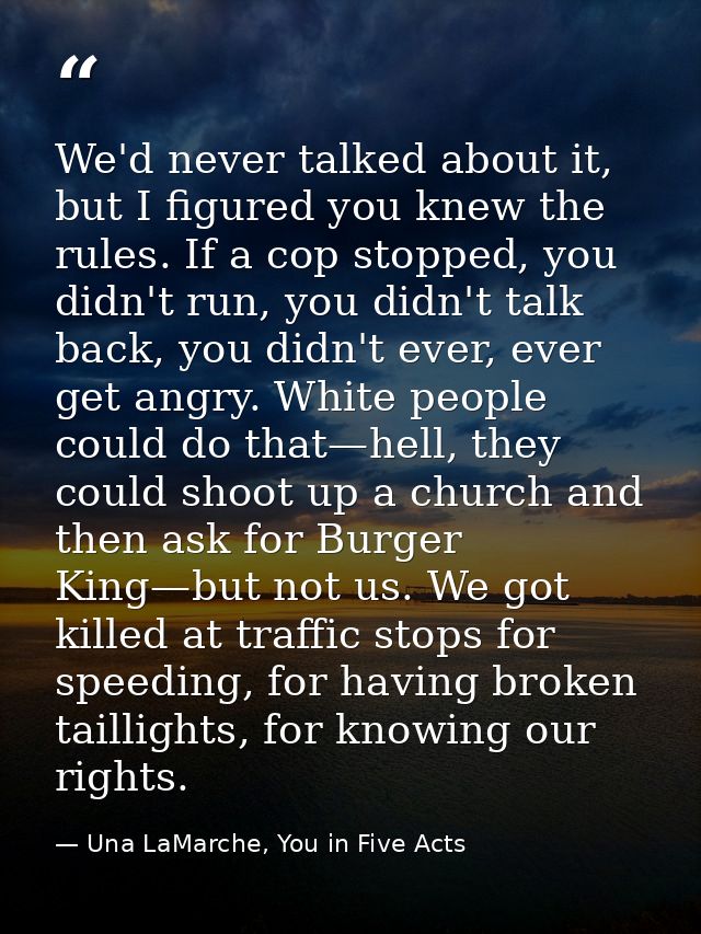 We'd never talked about it, but I figured you knew the rules. If a cop stopped, you didn't run, you didn't talk back, yo — Una LaMarche, You in Five Acts