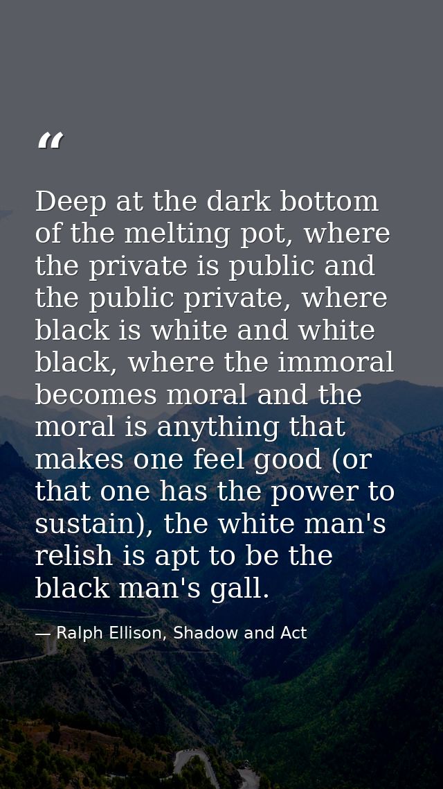 Deep at the dark bottom of the melting pot, where the private is public and the public private, where black is white and — Ralph Ellison, Shadow and Act